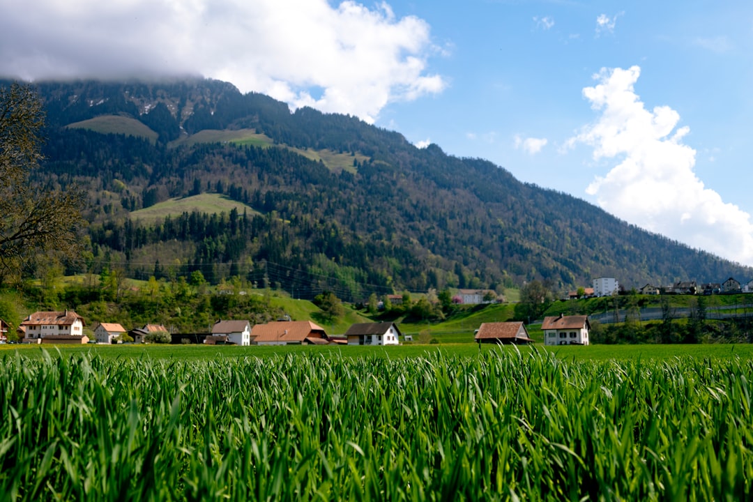 Secure Swiss data center representing Swisscows privacy protection